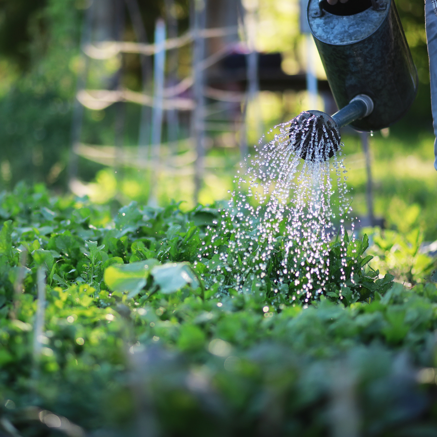 LAR Løsninger (Lokal Afledning Af Regnvand)